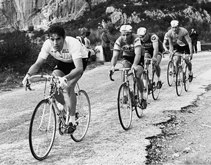 eddy_merckx