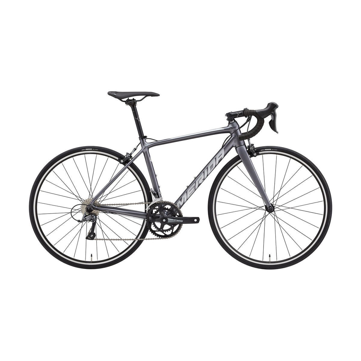 SCULTURA RIM 100（2024年モデル）