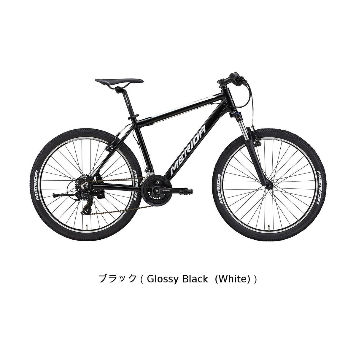 MATTS 6.5-V（2025年モデル）