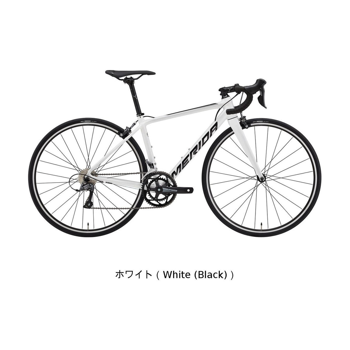 SCULTURA RIM 100（2025年モデル）