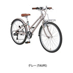 J24 plus