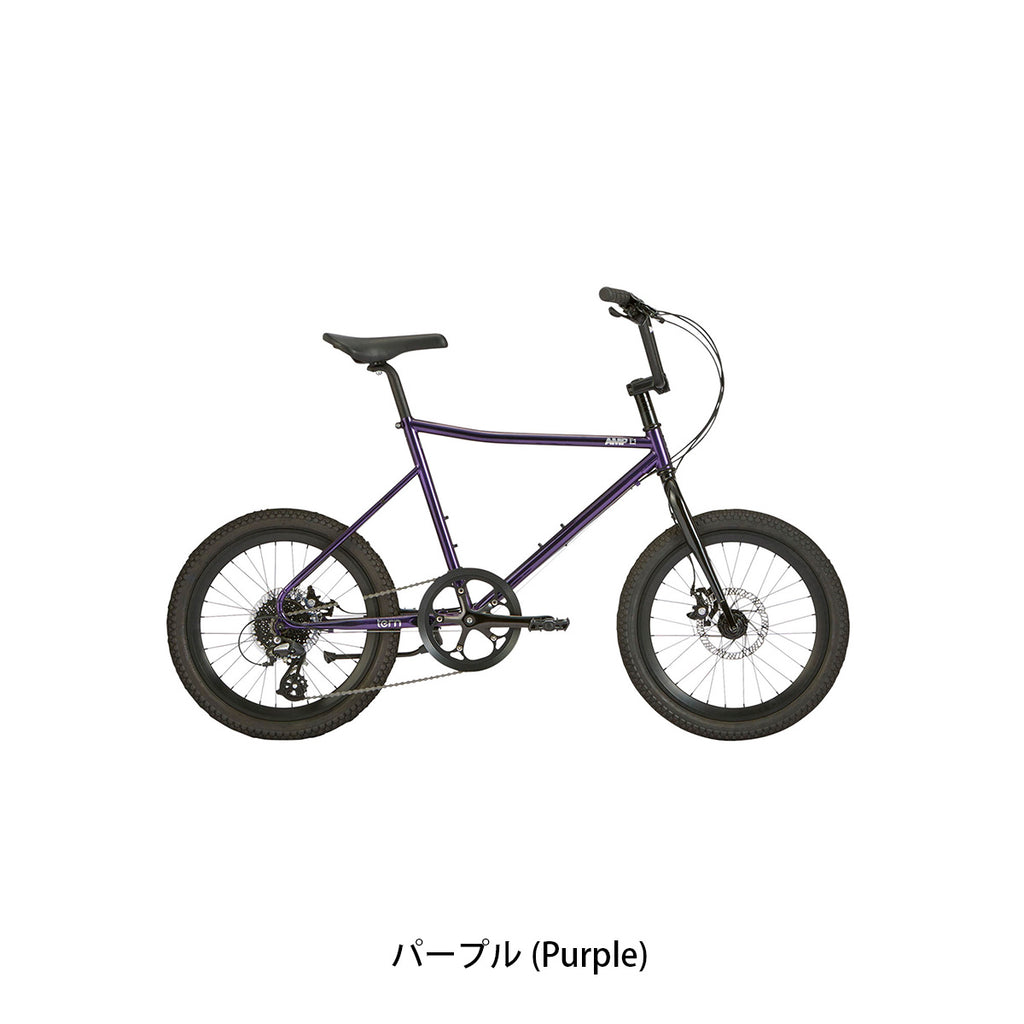 AMP F1