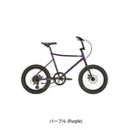 AMP F1