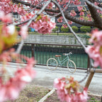 TOKYOBIKE Jr. Step 20