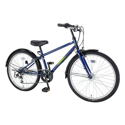 vitamin bike JR24