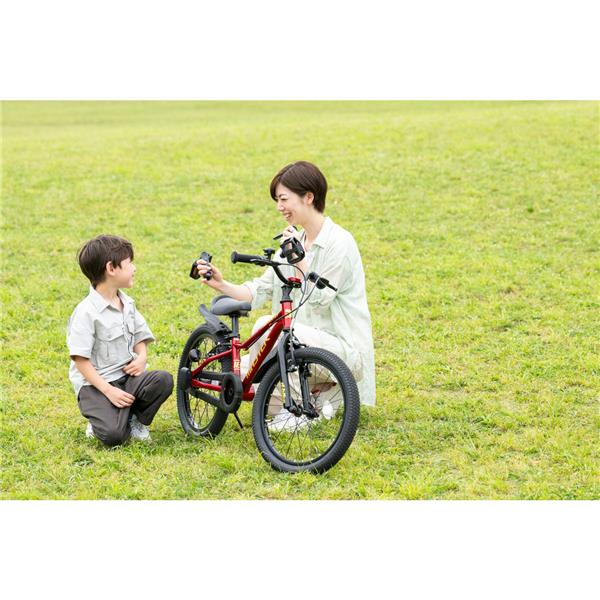 D-BIKE Master Fit 16