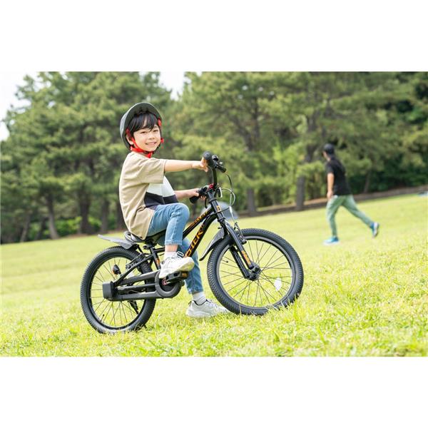 D-BIKE Master Fit 16