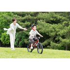 D-BIKE Master Fit 18