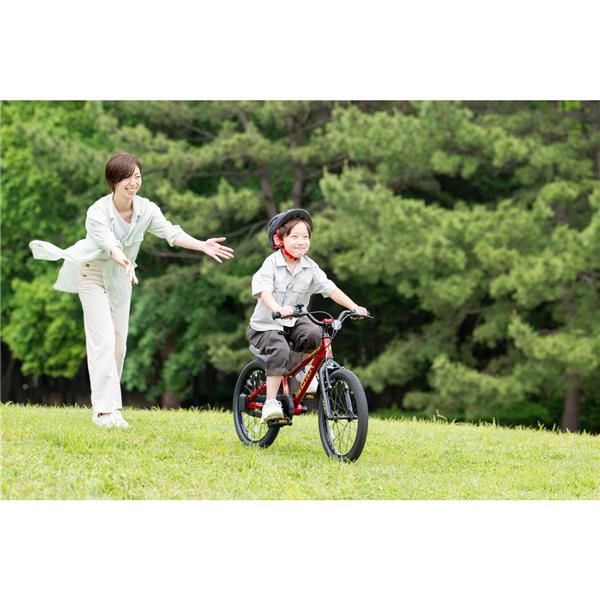 D-BIKE Master Fit 18