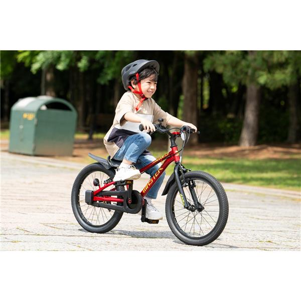 D-BIKE Master Fit 18