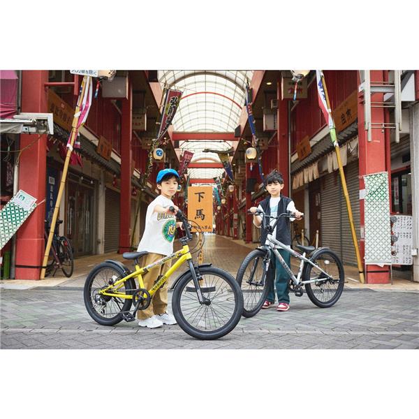 D-Bike BMXSTREET 20
