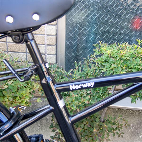 Norway ベルレヴォーグ