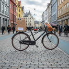 Norway ベルレヴォーグ