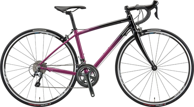 BRIDGESTONE ANCHOR RL6W