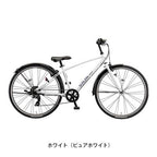 シュライン24