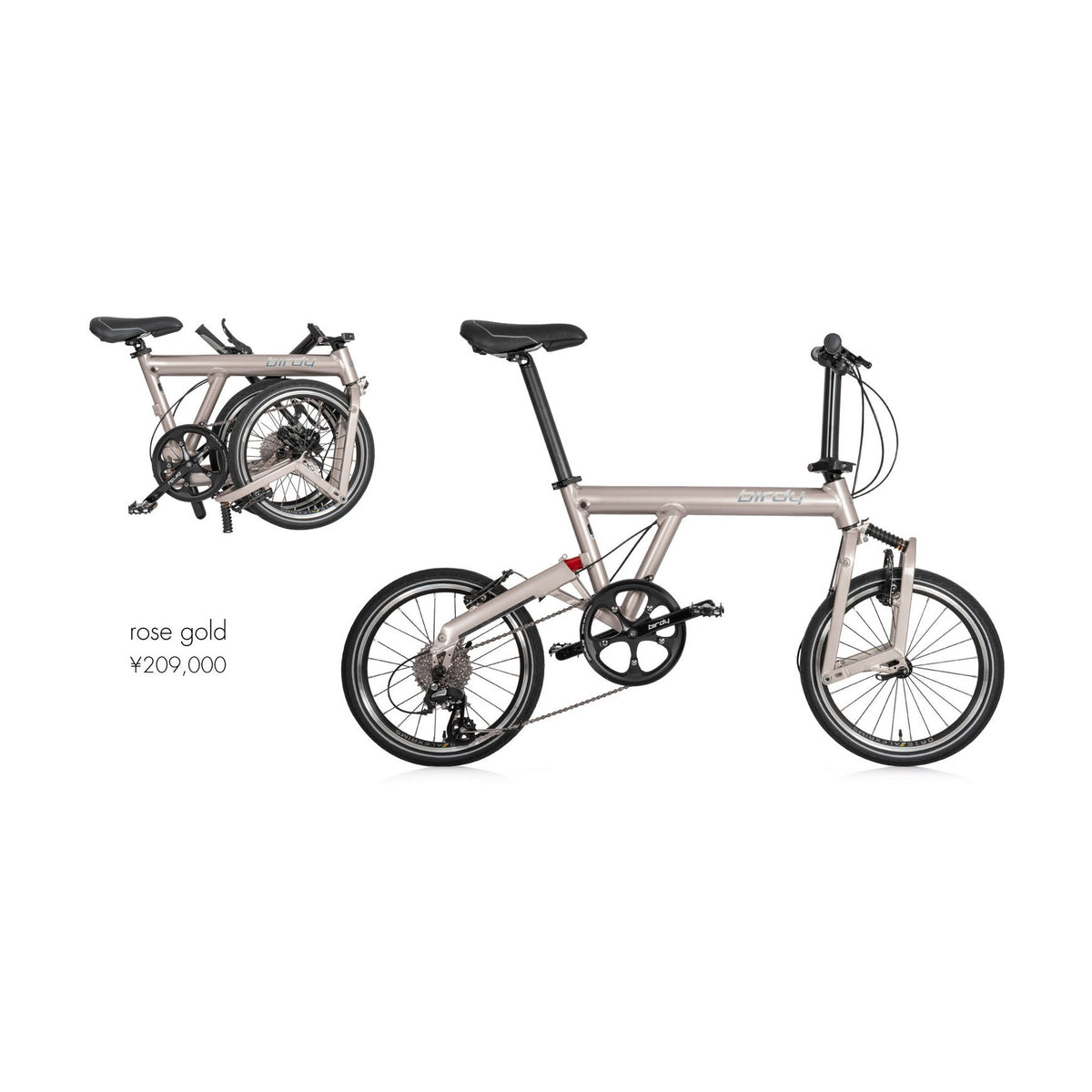 birdy classic LIMITED EDITION