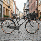 Norway ベルレヴォーグ