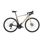 限定特価 Synapse Carbon 2 RLE