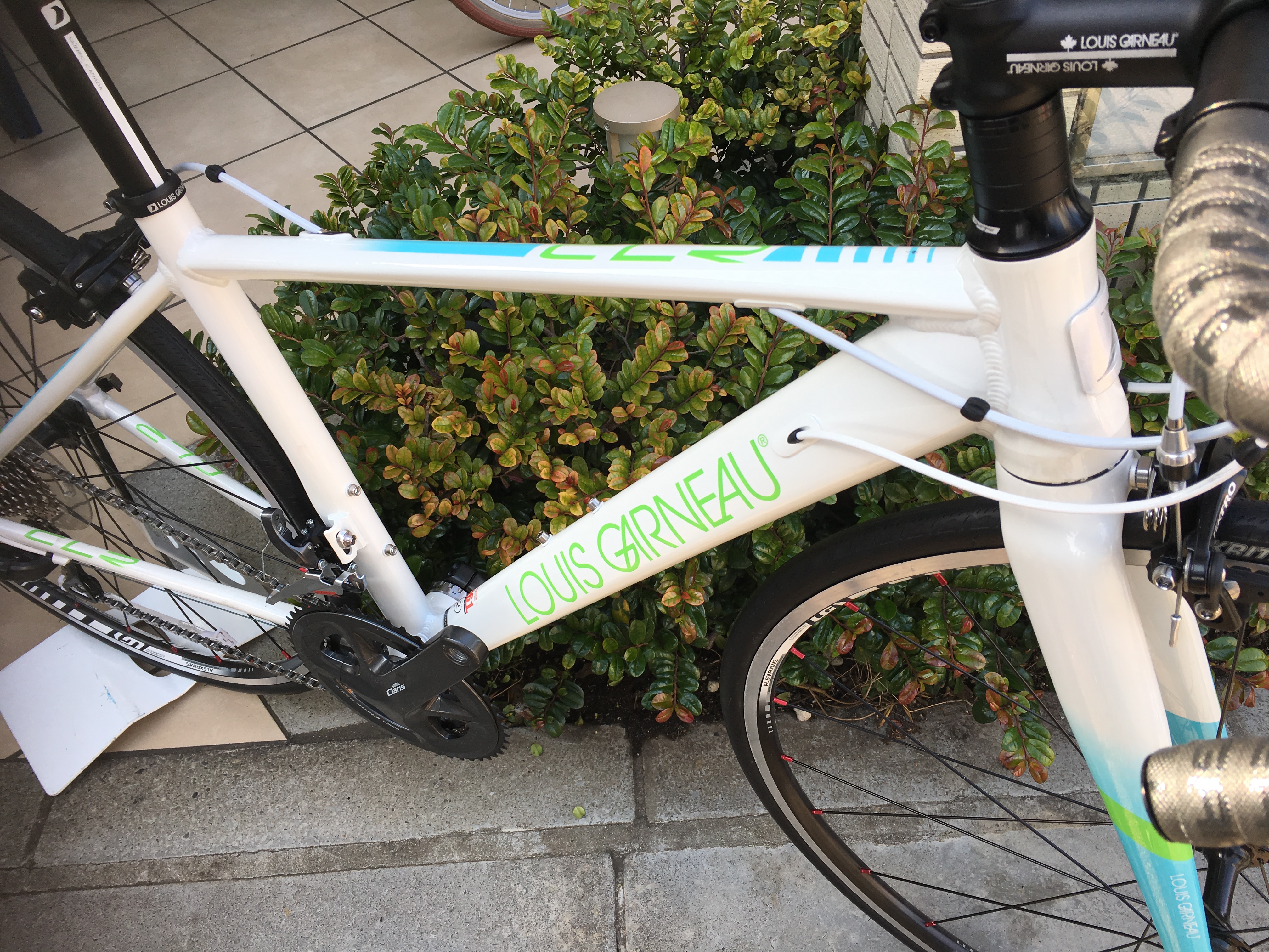 CLR / シーエルアール / LOUIS GARNEAU / ルイガノ製品紹介