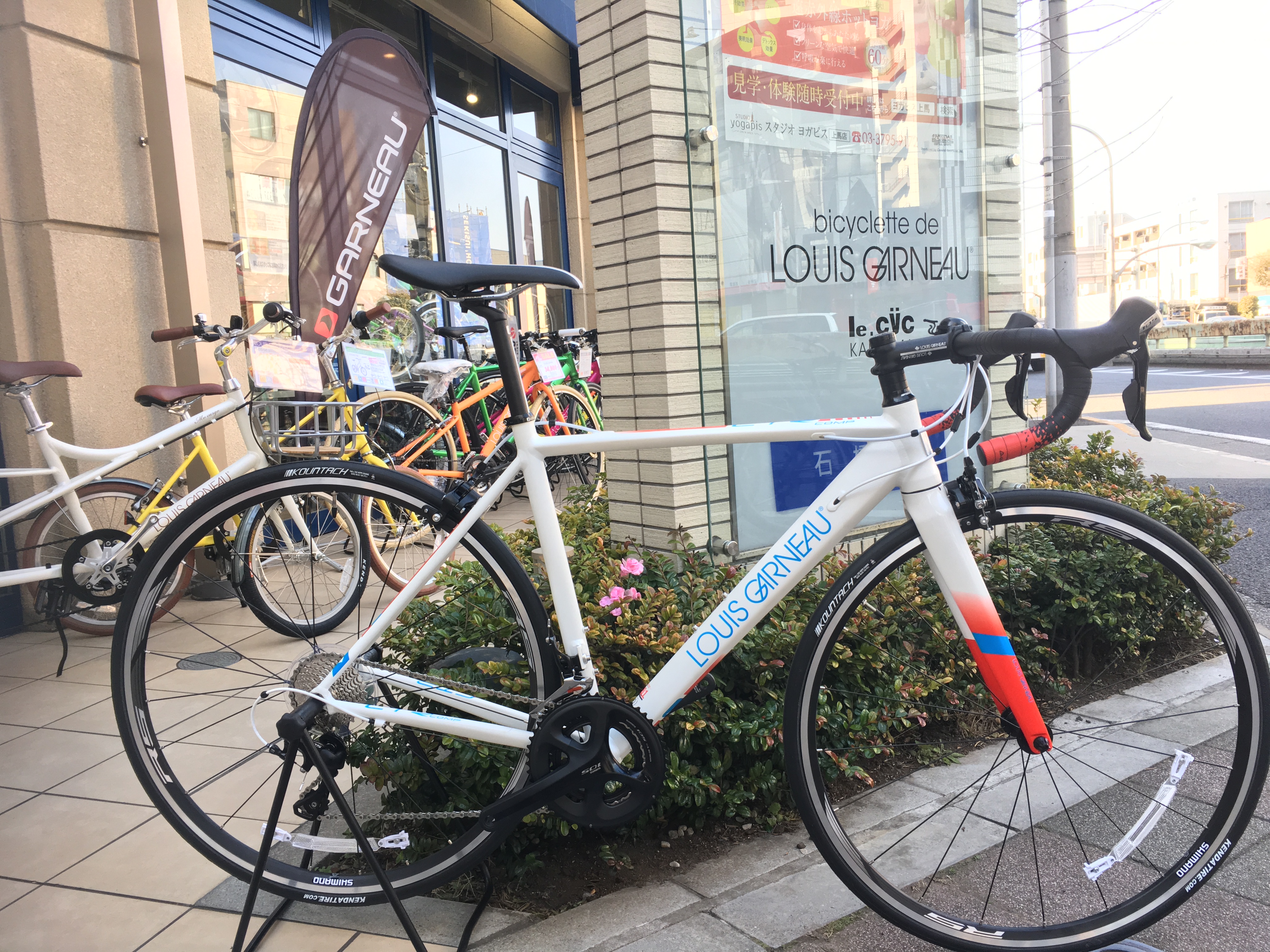 限定サンプルカラーのご紹介！ ルイガノ上馬 | 自転車専門店