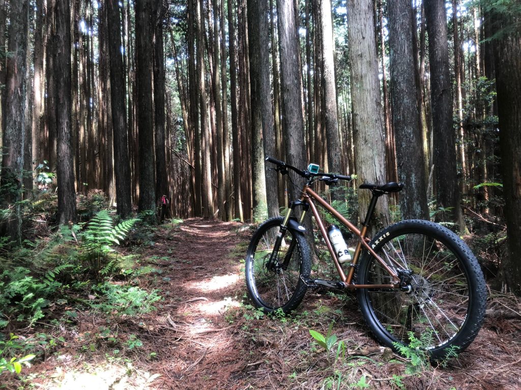 Mtb マウンテンバイクで山を満喫 トレイルライドは究極のアウトドアですよ ル サイク Izu 自転車専門店 サイクルスポット ル サイク