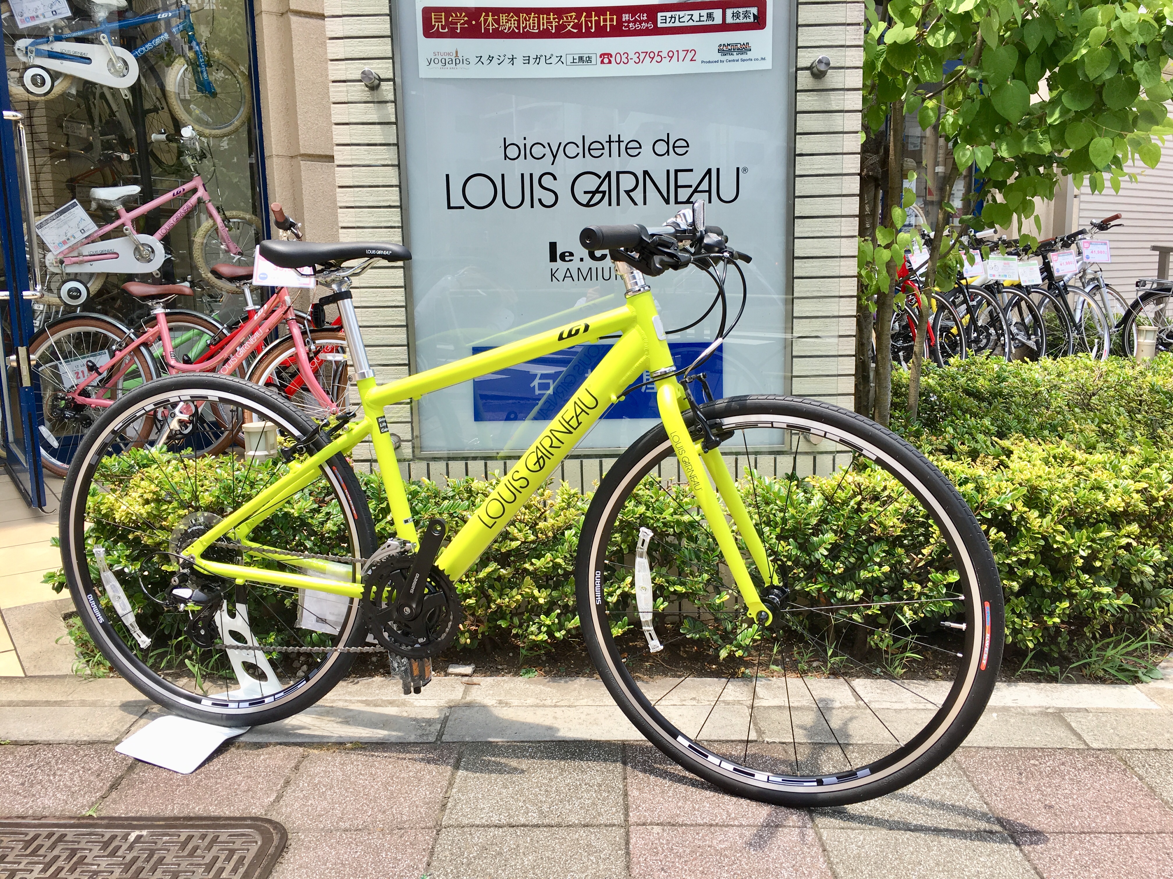 2018年モデルLOUISGARNEAU NEWカラーが続々入荷