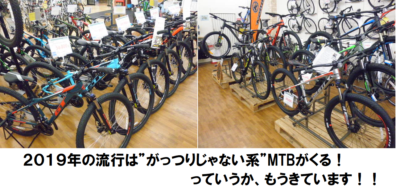 2019年の流行はu201dがっつりじゃないu201dMTB!! ル・サイク IZU