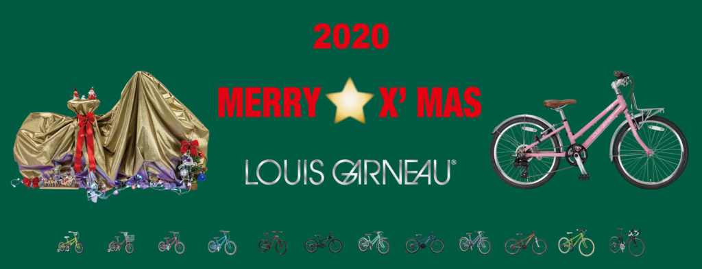 2020年 子供自転車 クリスマスプレゼントで迷ったらこれ！ルイガノ 