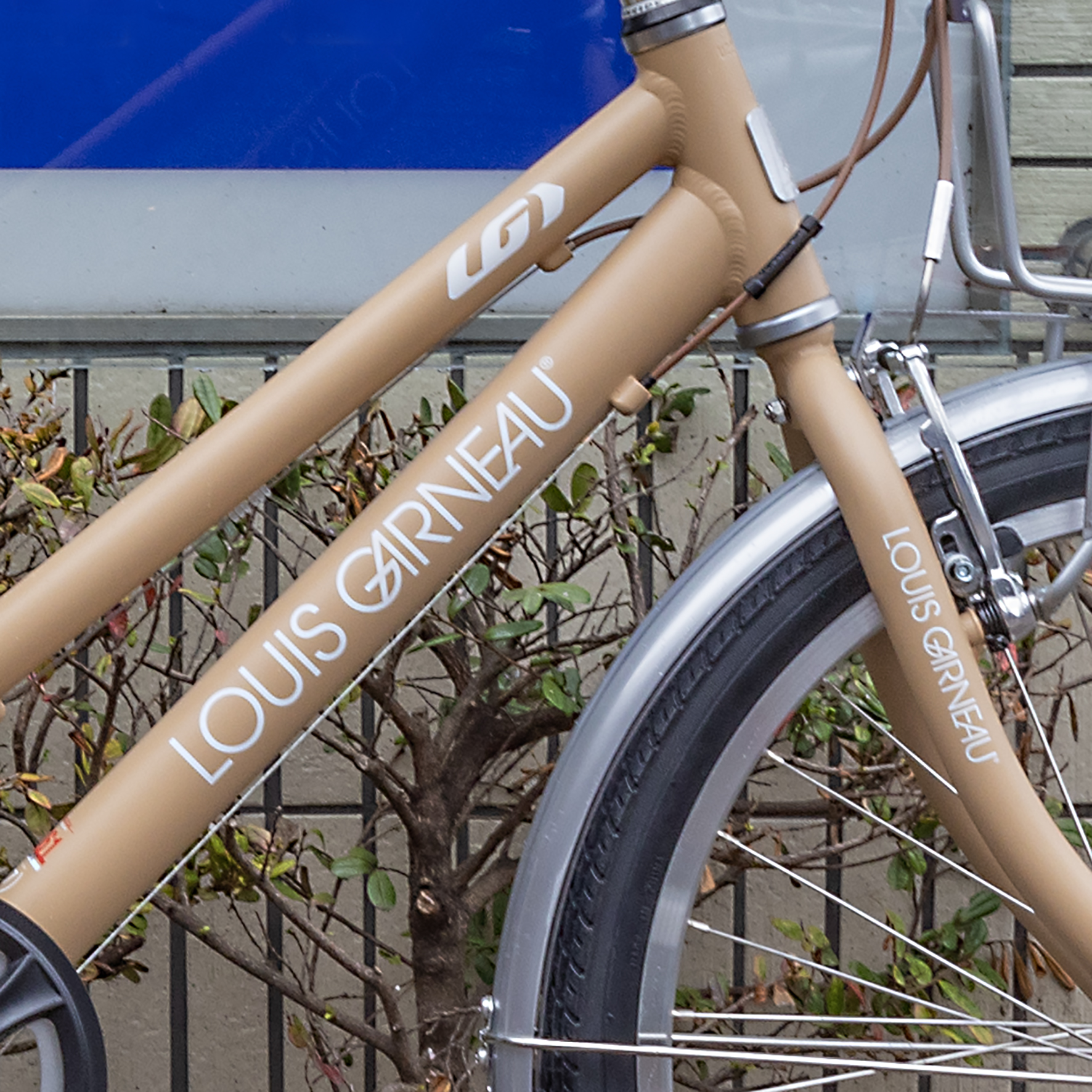 ジュニアだってアイスコーヒーが好きっ！ ルイガノ上馬 | 自転車