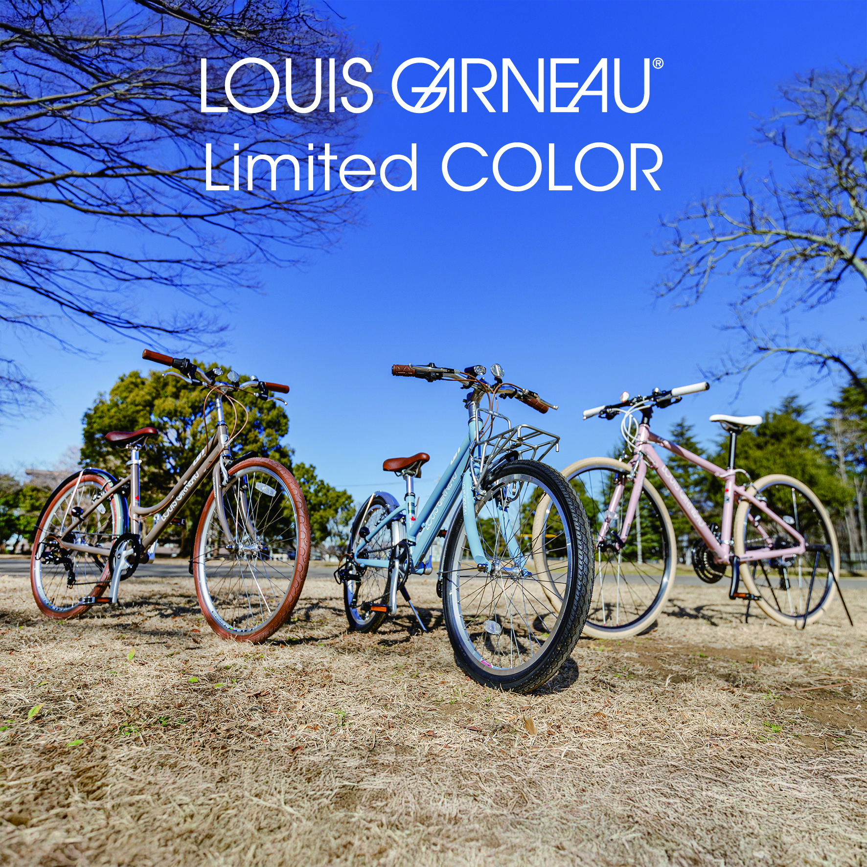 LOUIS GARNEAU Limited COLOR オリジナルカスタム車 | 自転車専門店 