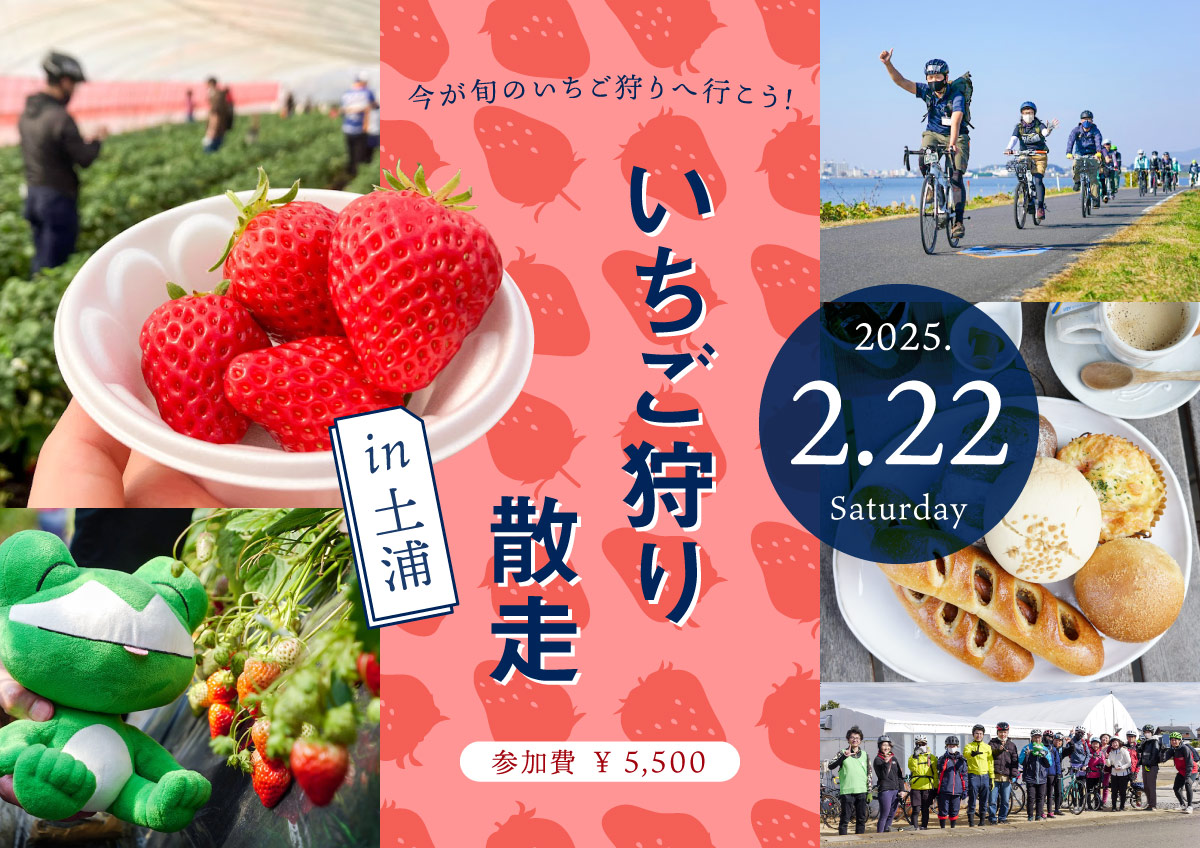 春の恒例企画！今が旬のいちご狩りへ行こう！「いちご狩り散走 in土浦