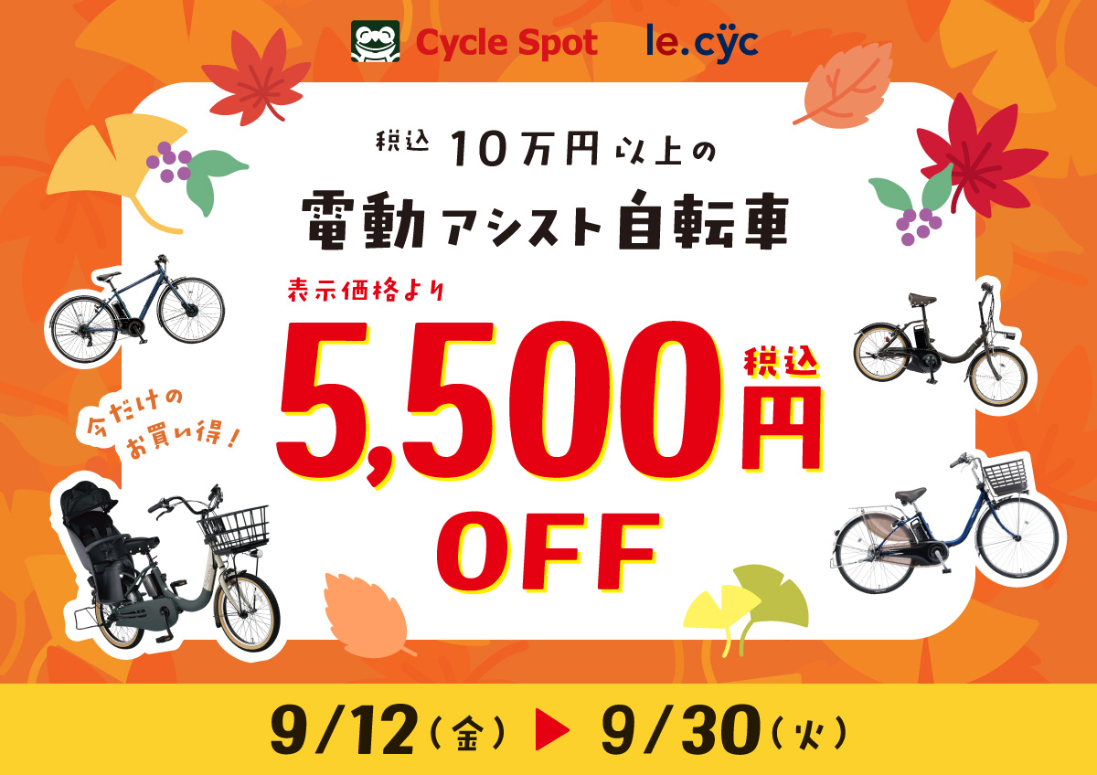 2509dendo-sale_top.jpg