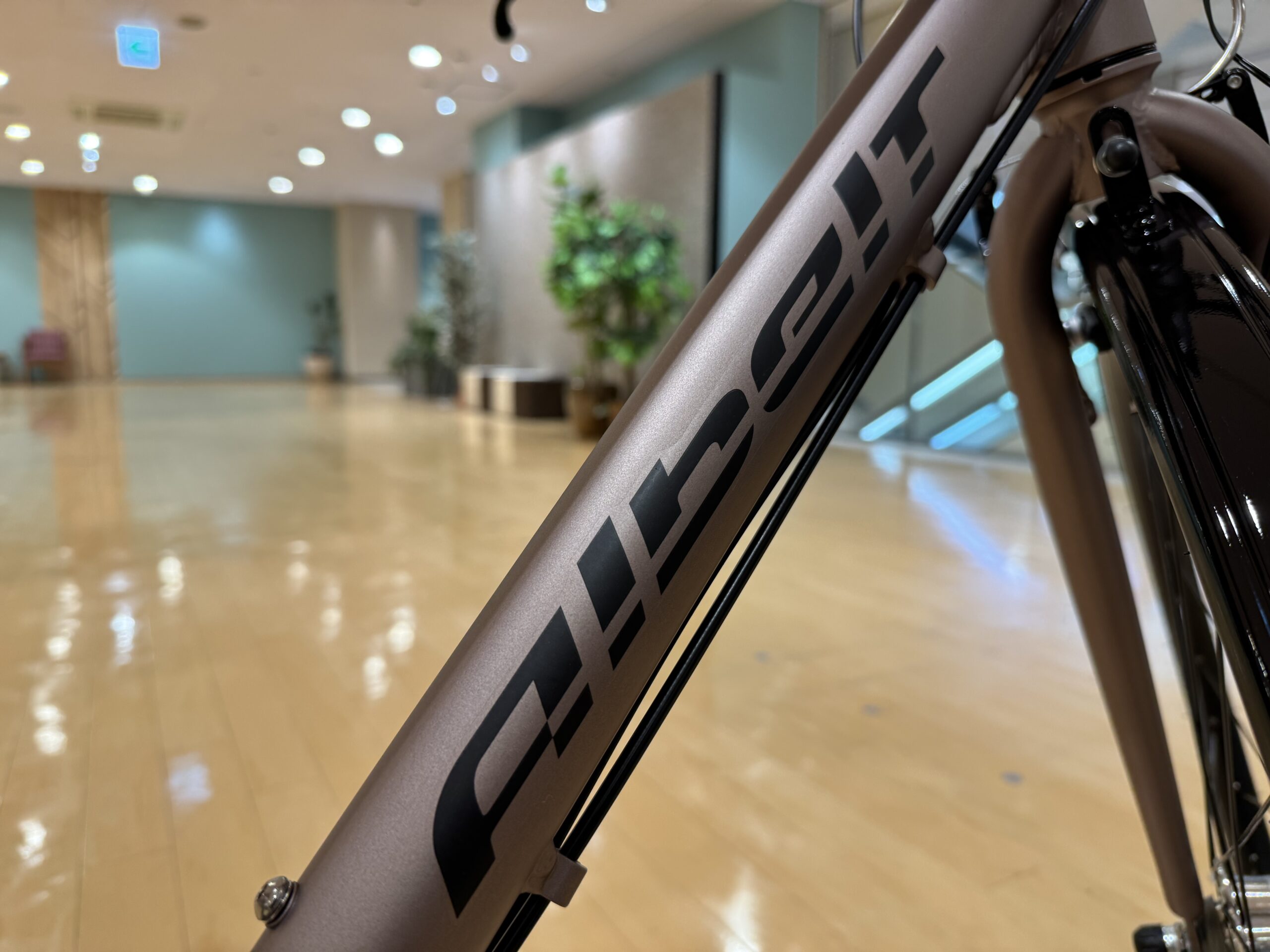 ブリヂストンの新モデル「アルベルトスポーツ」入荷！！