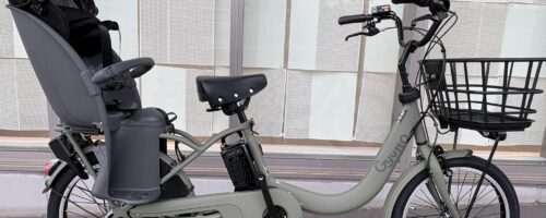 ギュット・クルームR・EX　＆　押し歩きモード
